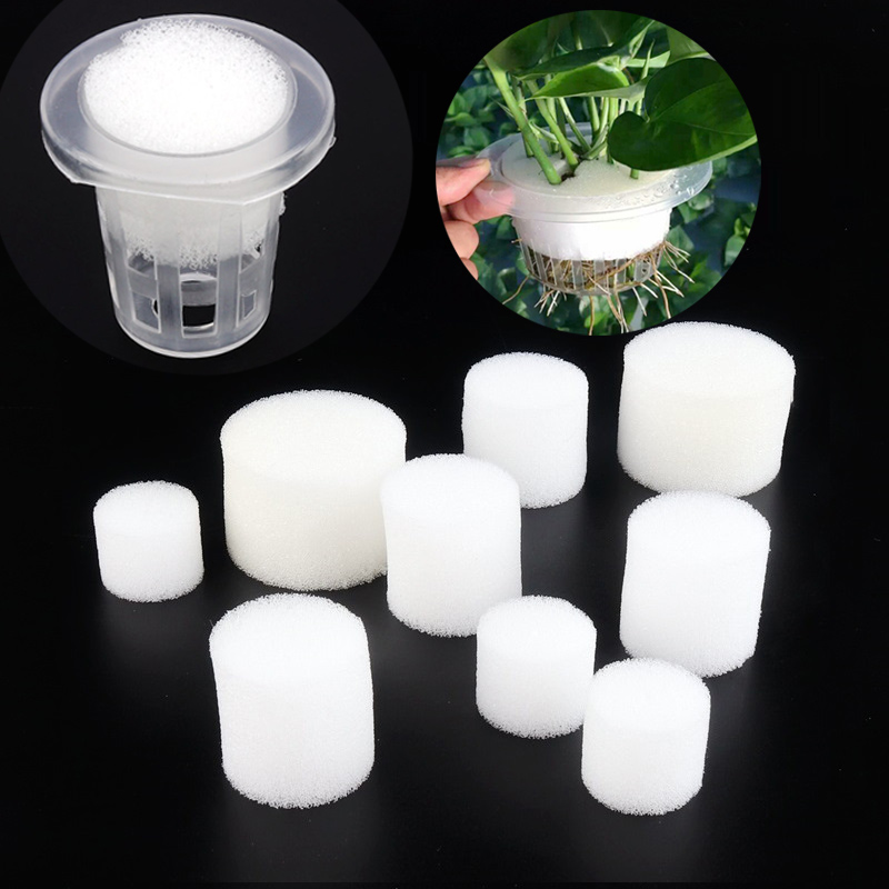 Net Pot 3 Inch - Bộ 50 Lưới Trắng Cốc Bọt