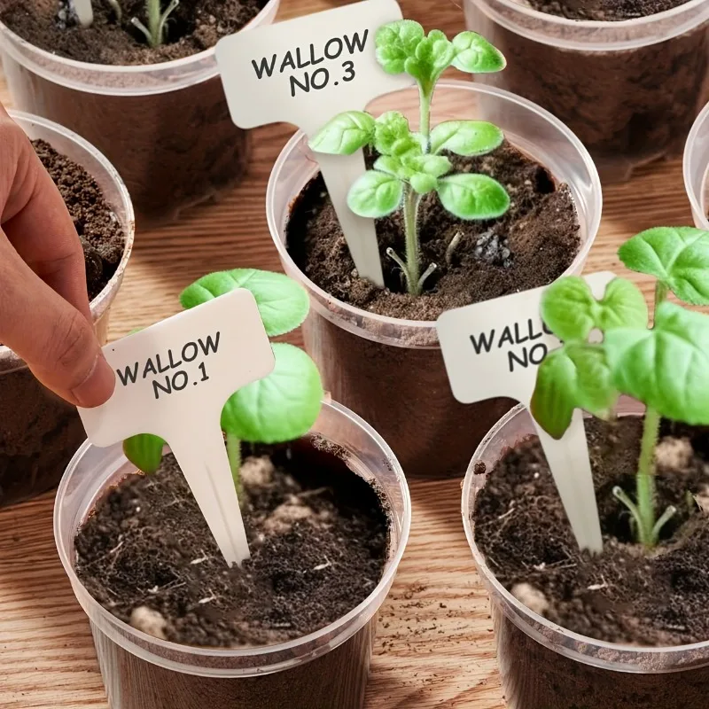 72pcs/set Clear Nursery Potspl - đánh giá và giá Net Pot 3 Inch