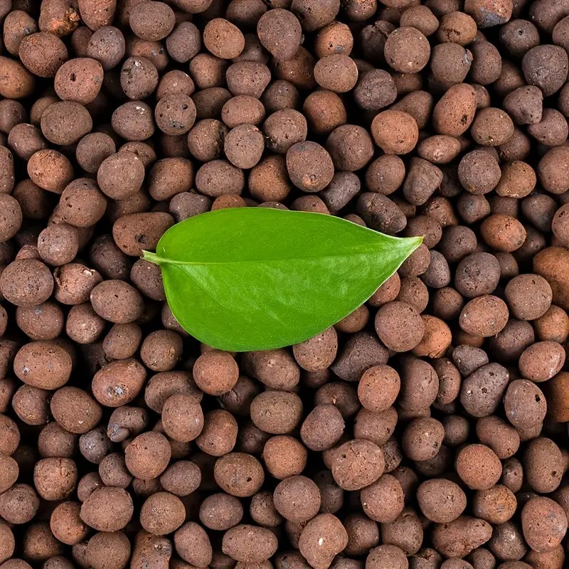 1LB Reusable Hydroponic Clay P - đánh giá và giá Clay Pebble Growing