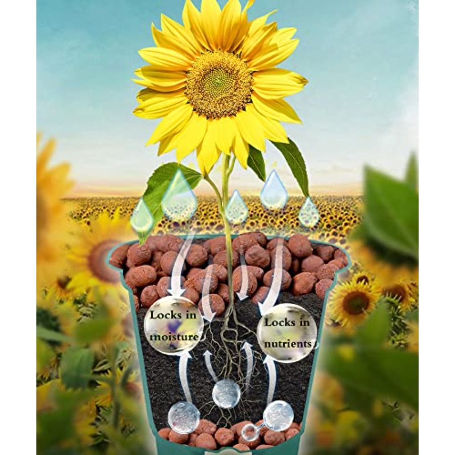 Voulosimi Clay Pebbles Hydropo - đánh giá và giá Clay Pebble Growing