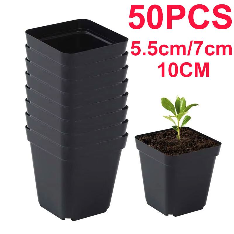 Seedling Pots 50Pcs Square Pla - đánh giá và giá Net Pot 3 Inch
