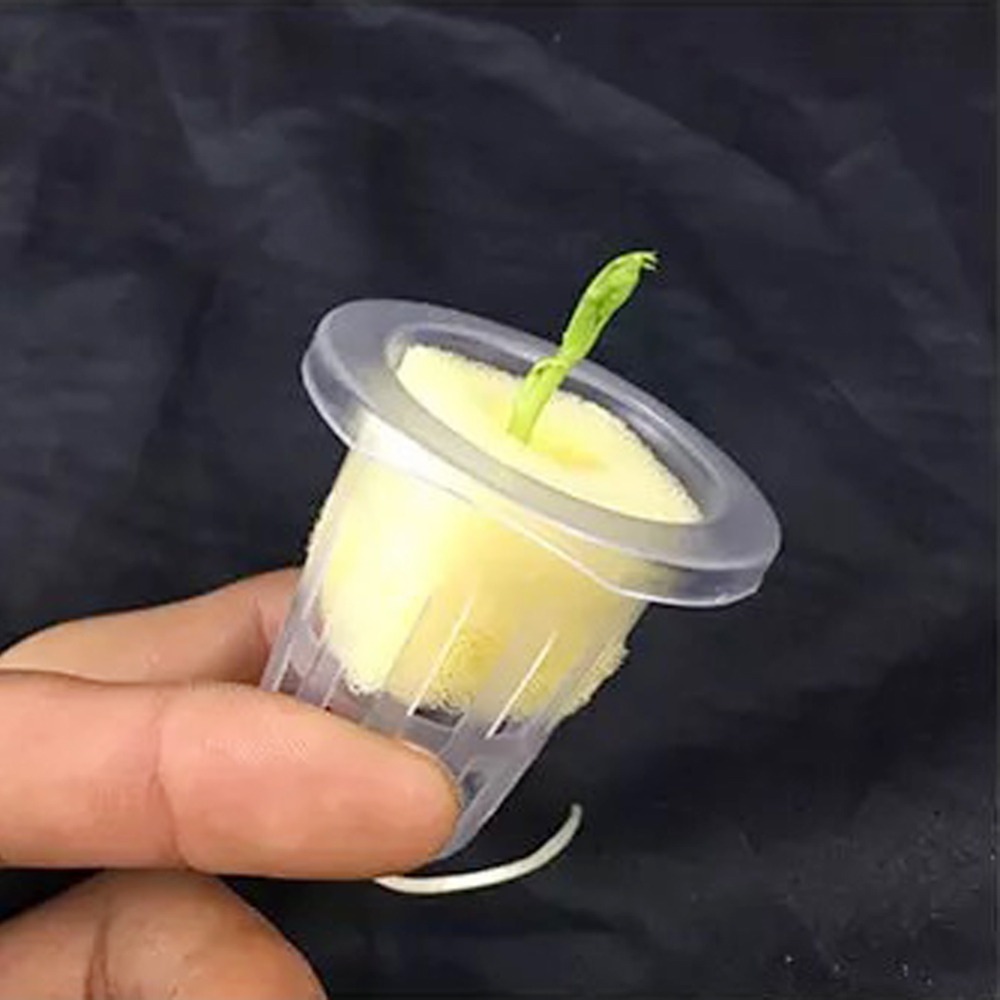 Thủy Canh Lưới Nồi Lưới Cúp Rổ - đánh giá và giá Net Pot 3 Inch