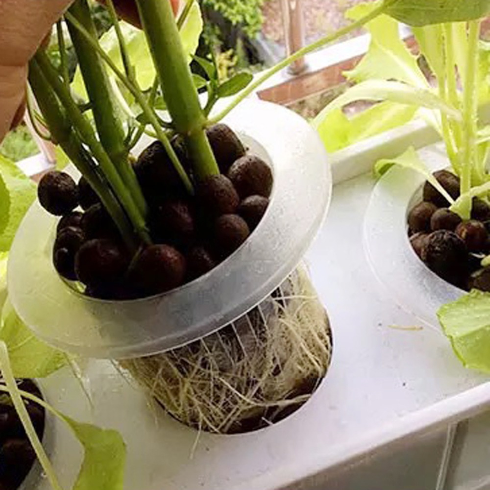 Thủy Canh Lưới Nồi Lưới Cúp Rổ - đánh giá và giá Net Pot 3 Inch