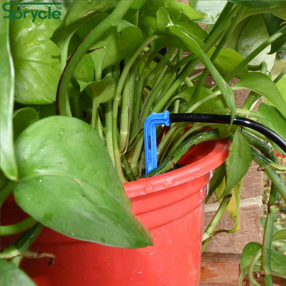 SPRYCLE 50X Uốn Cong Mũi Tên D - đánh giá và giá Urban Farming System