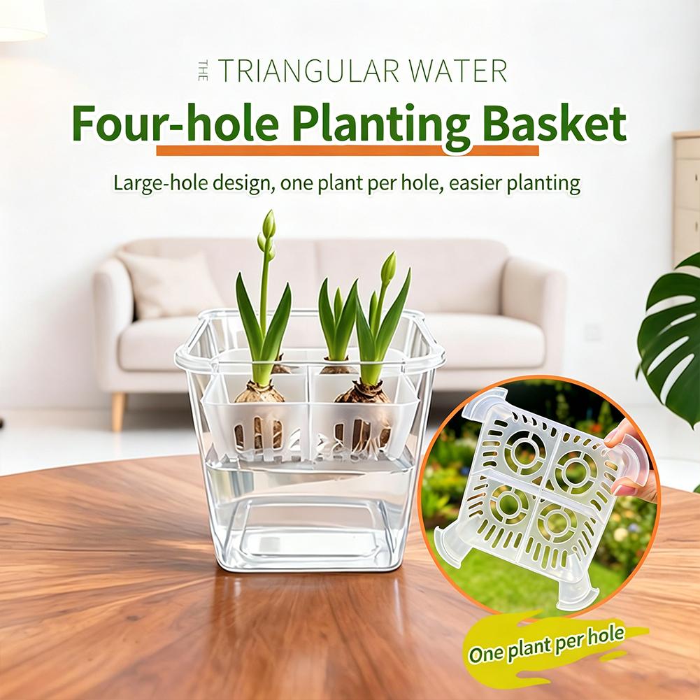 1pcs Hydroponic Planter Tulip  - đánh giá và giá Net Pot 3 Inch