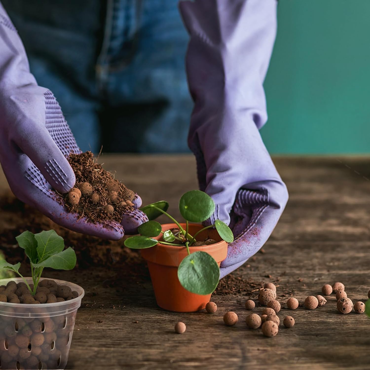 2L/1L Organic Clay Balls, Flow - đánh giá và giá Clay Pebble Growing