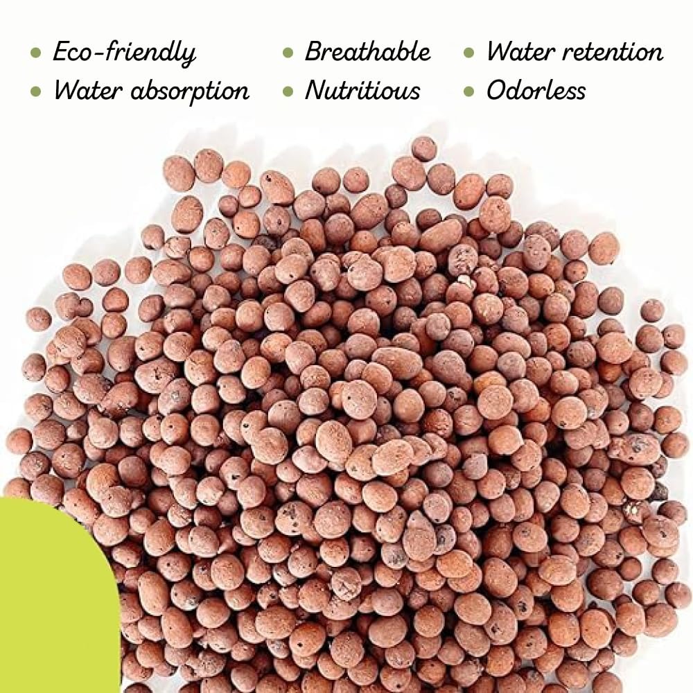 US Shipping Expanded Clay Pebb - đánh giá và giá Clay Pebble Growing