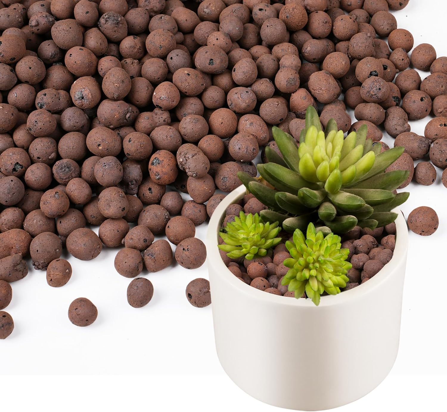 100/200G Clay Pebbles for Plan - đánh giá và giá Clay Pebble Growing