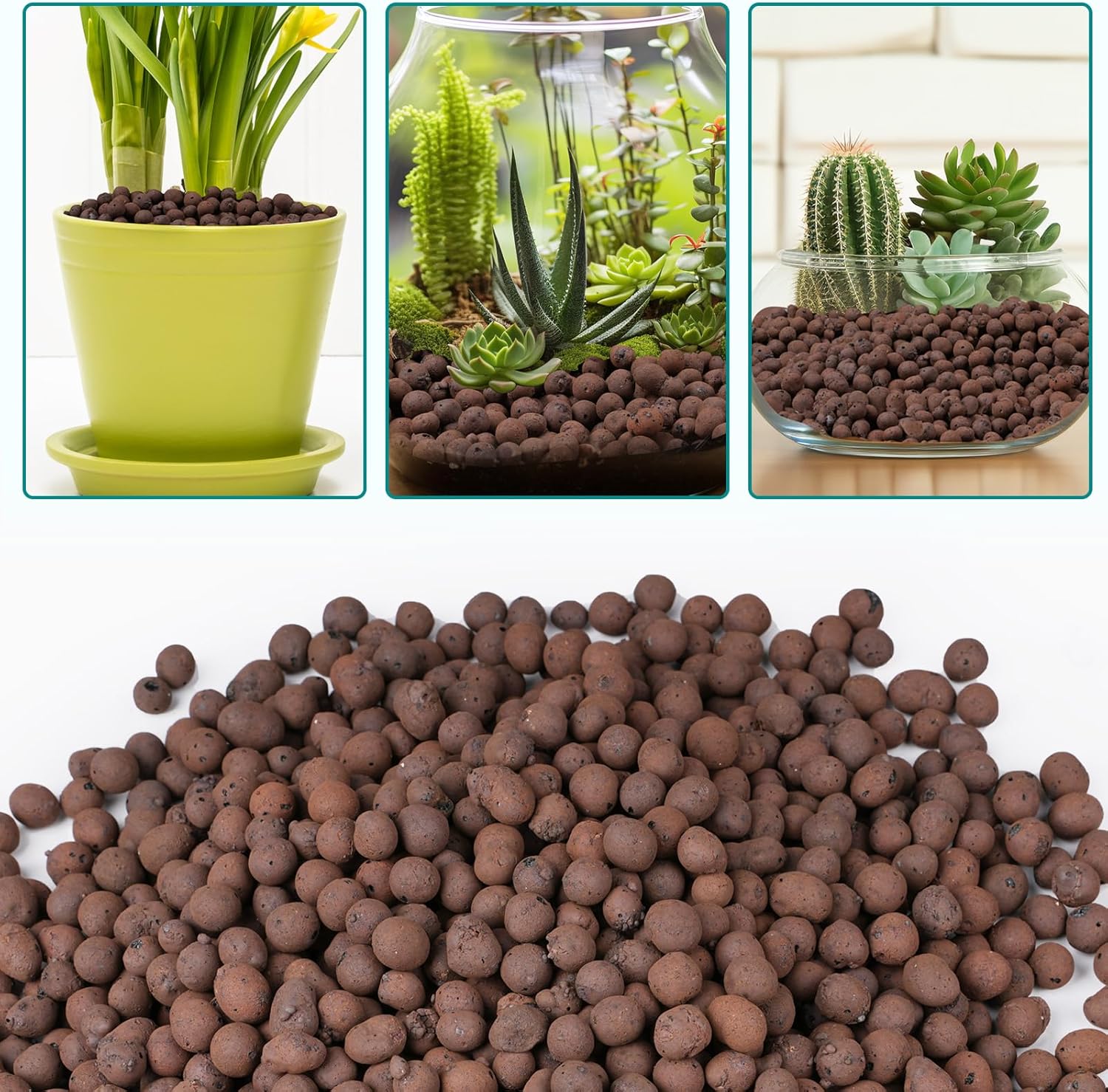 100/200G Clay Pebbles for Plan - đánh giá và giá Clay Pebble Growing