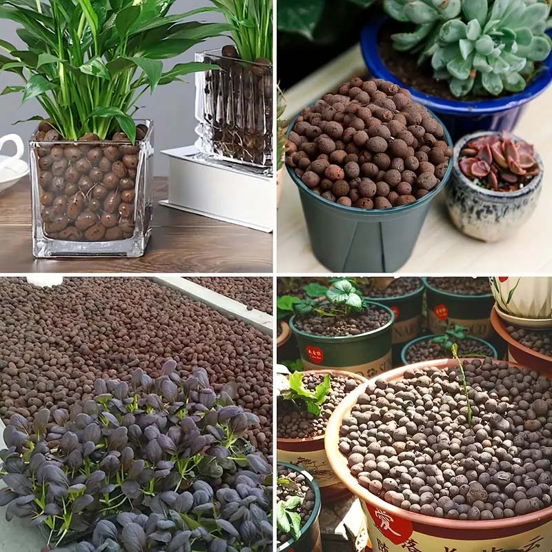 100/200G Clay Pebbles for Plan - đánh giá và giá Clay Pebble Growing