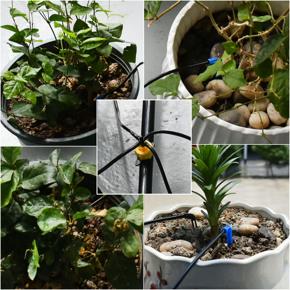 Nhà Kính Trồng Chậu Cong Mũi T - đánh giá và giá Urban Farming System