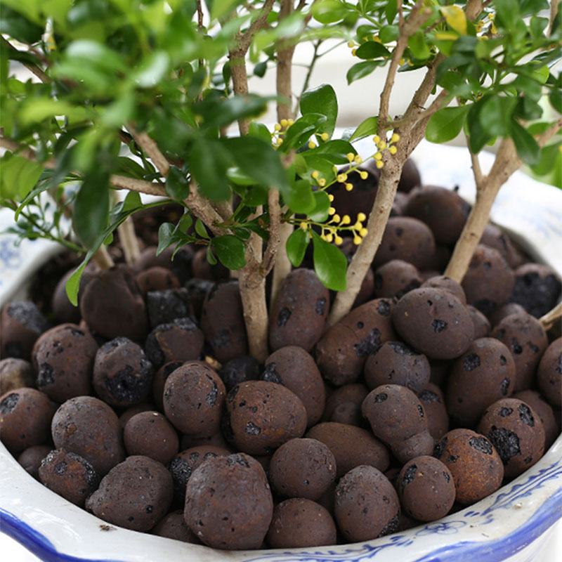 500G Hữu Cơ Ceramsite Đất Sét  - đánh giá và giá Clay Pebble Growing