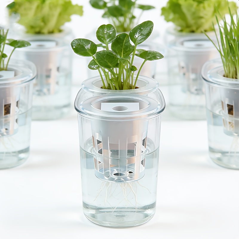 10pcs Hydroponic Seedling Bask - đánh giá và giá Net Pot 3 Inch