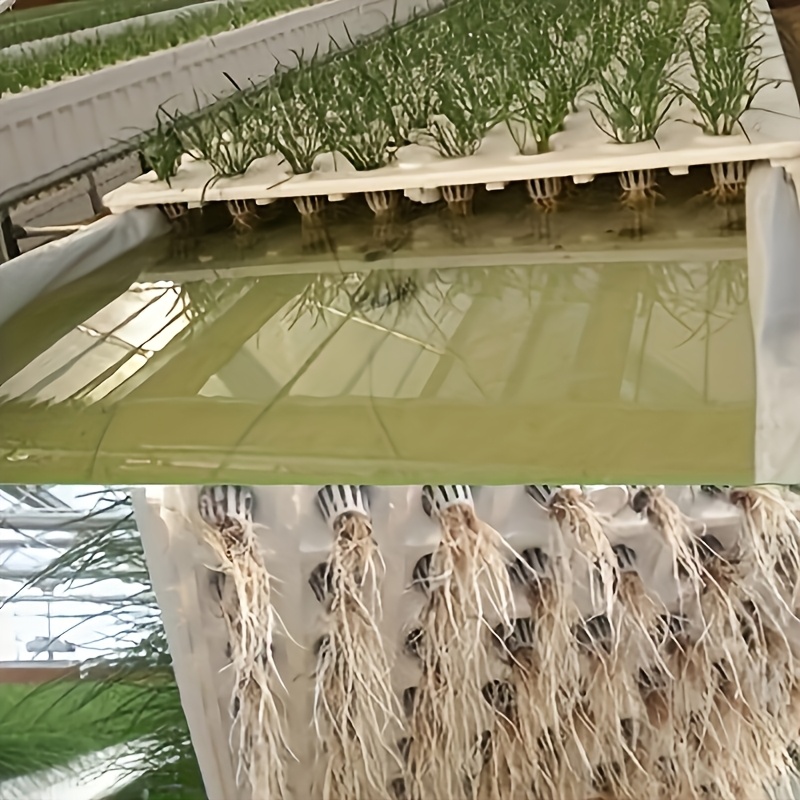 10pcs Hydroponic Seedling Bask - đánh giá và giá Net Pot 3 Inch