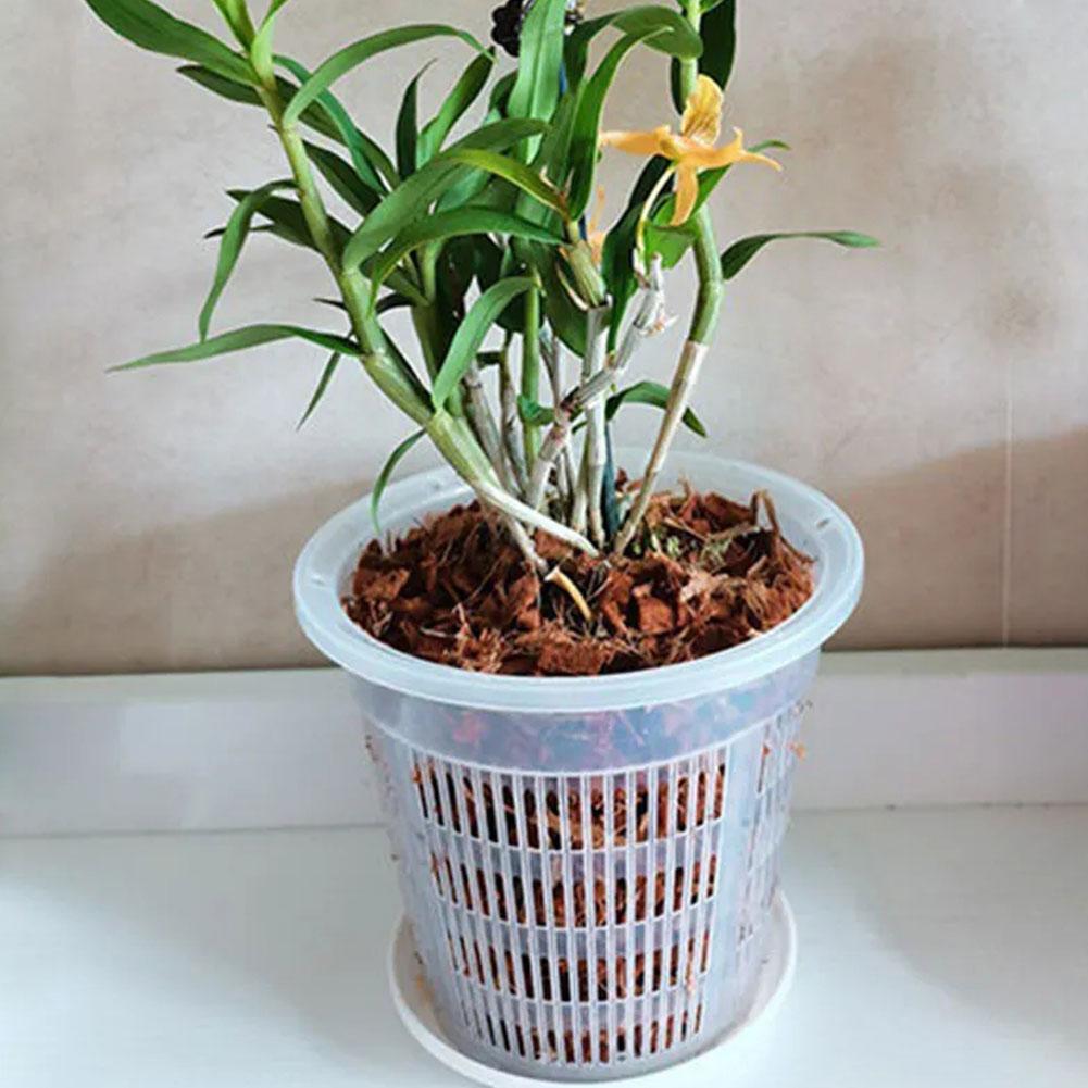 11/14/16/19cm Mesh Pot Root Co - đánh giá và giá Net Pot 3 Inch