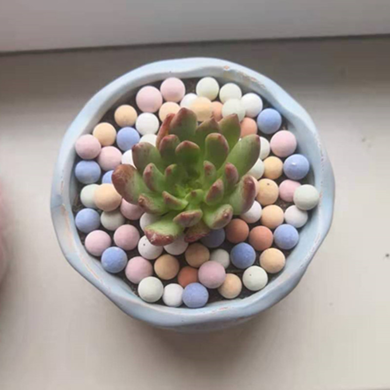 500G Màu Chắc Chắn Ceramsite M - đánh giá và giá Clay Pebble Growing